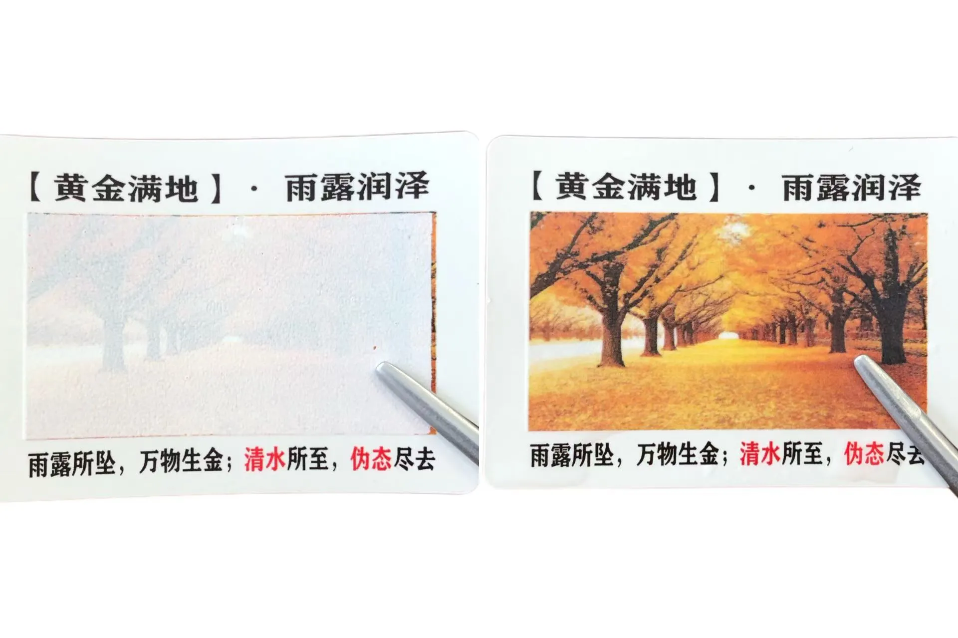 変色する耐水性ラベルをご存知ですか？